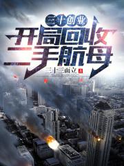 三十创业开局回收二手航母libahao