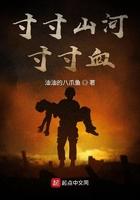 寸寸山河寸寸金的翻译
