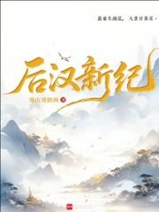 后汉新纪笔趣阁无错版